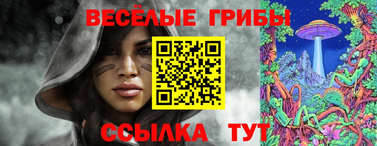 Галлюциногенные грибы мицелий  Вход с VPN  Псилоцибиновые грибы Psilocybe  Георгиевск 